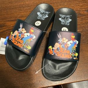 Space Jam 2 slides